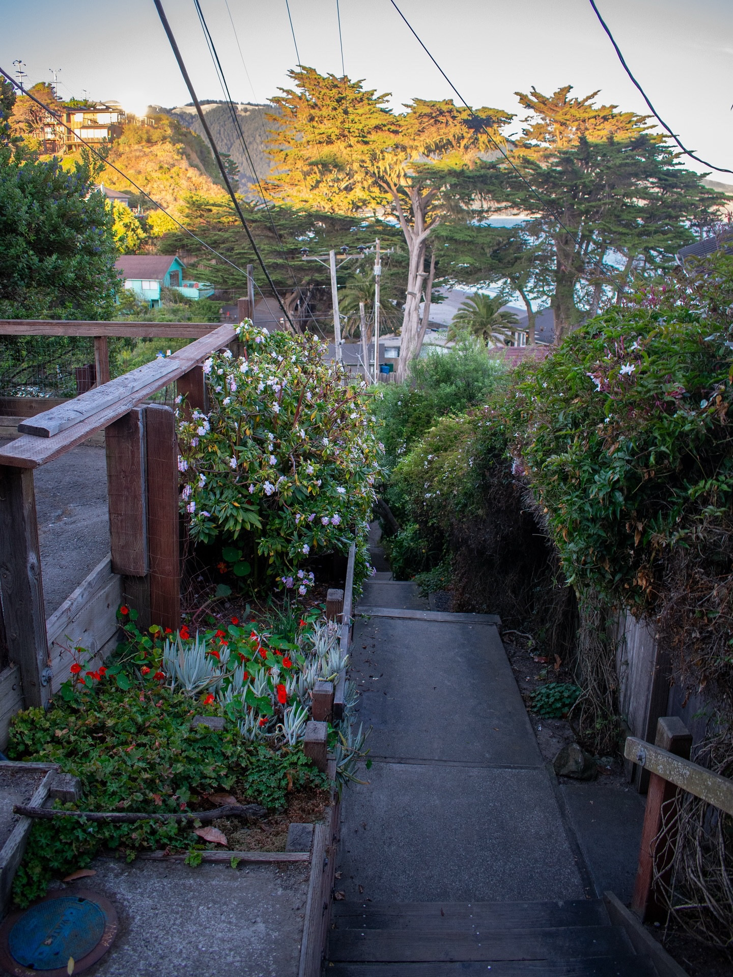 Bolinas, California ✨ #bolinas #california #travel #cali #travelphotography #travelphotos #photographer