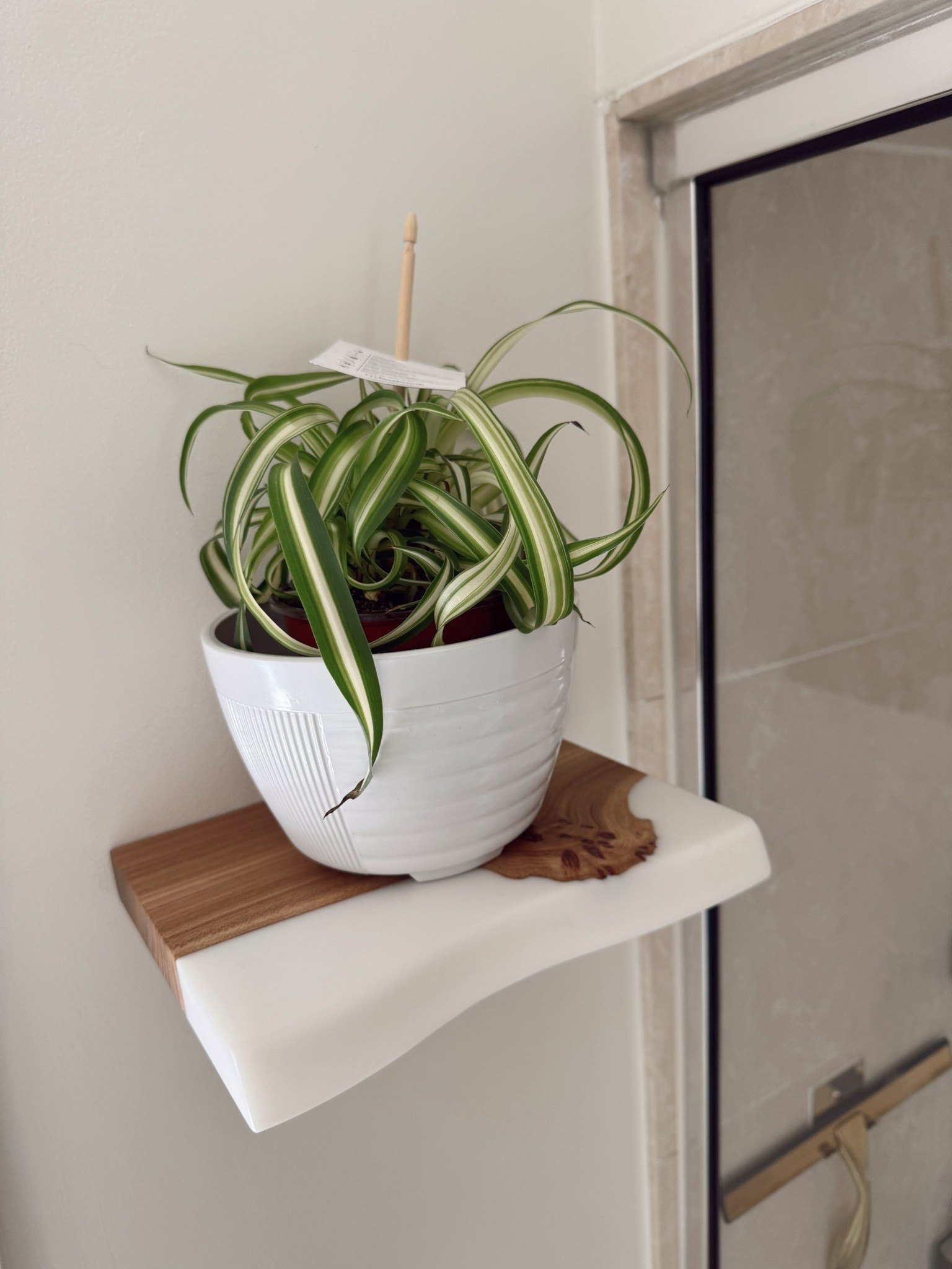 Was looking for a unique floating shelf for my spider plant for my bathroom. Found this one from Etsy & absolutely love it!

Walnut w/ live edge epoxy in moonlight. What do you guys think? 

Home, home decor, bathroom ideas 

#LTKFindsUnder50 #LTKSaleAlert #LTKHome