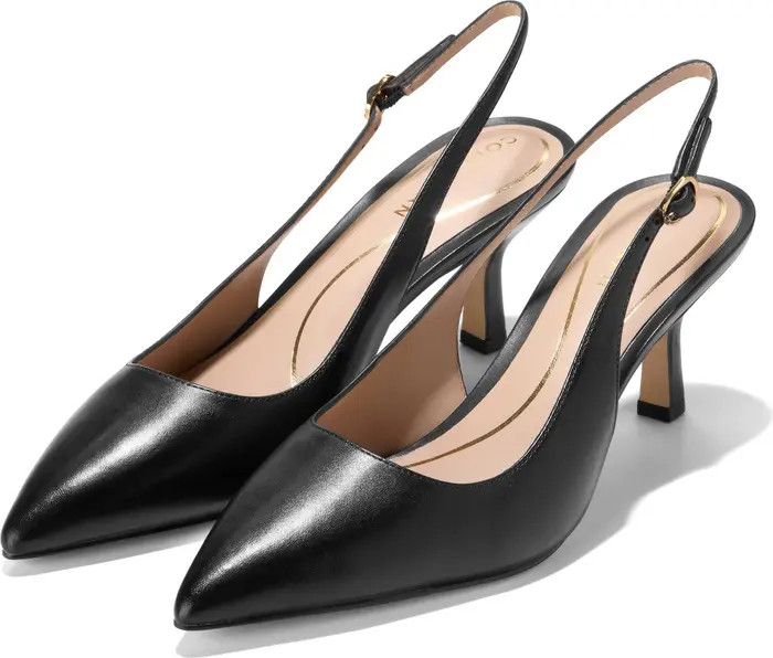 Hansell Slingback Pointed Toe Pump (Women) | Nordstrom