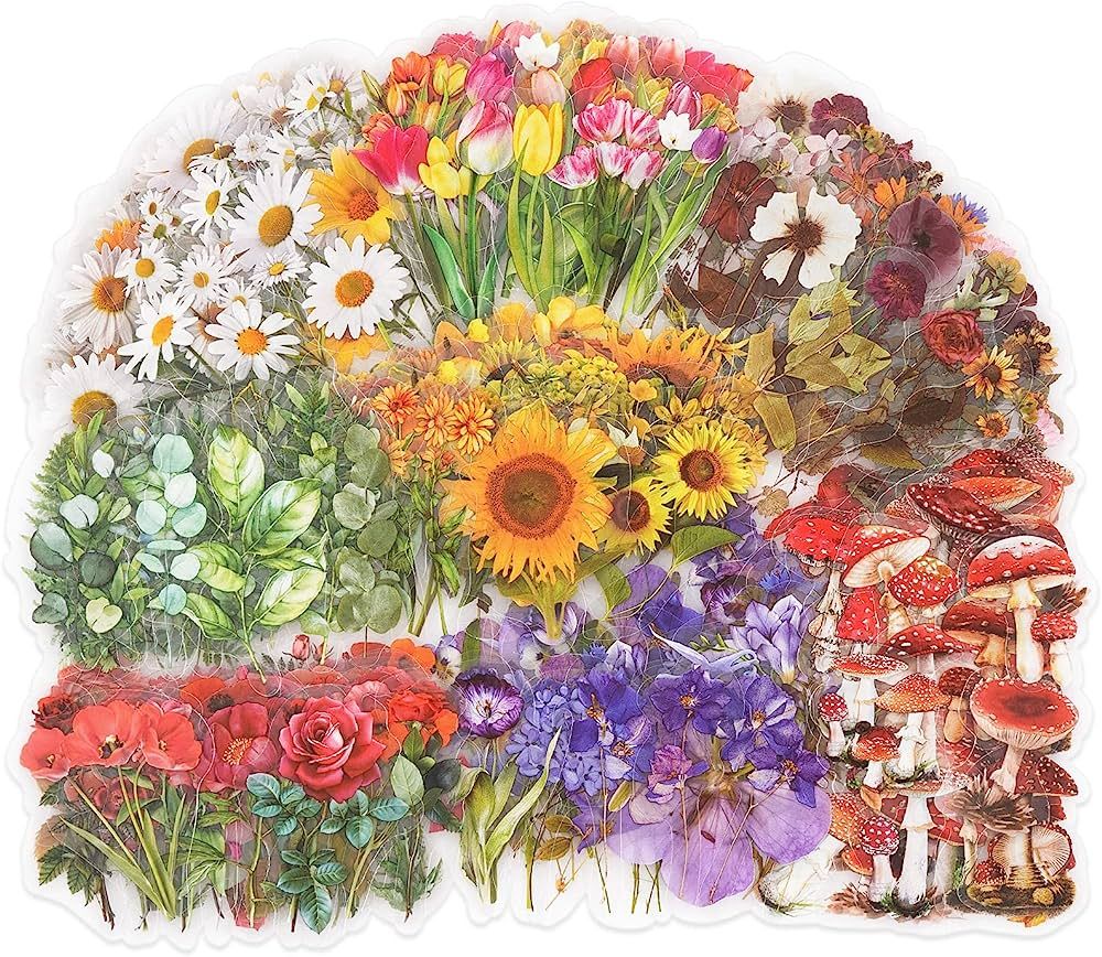 Knaid Botanical Stickers Set (320 Pieces) Pressed Flower Resin Decals Transparent Daisy Tulip Eu... | Amazon (US)