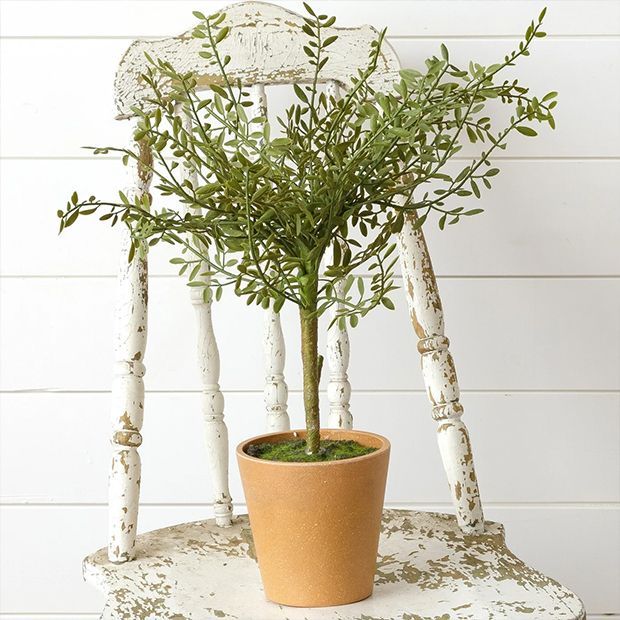 Classic Farmhouse Potted Thyme Topiary | Antique Farm House