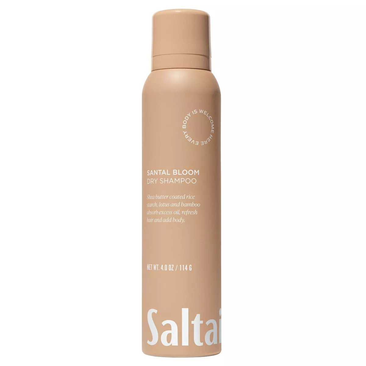 Saltair Moisture Bound Dry Hair Shampoo - 4oz | Target