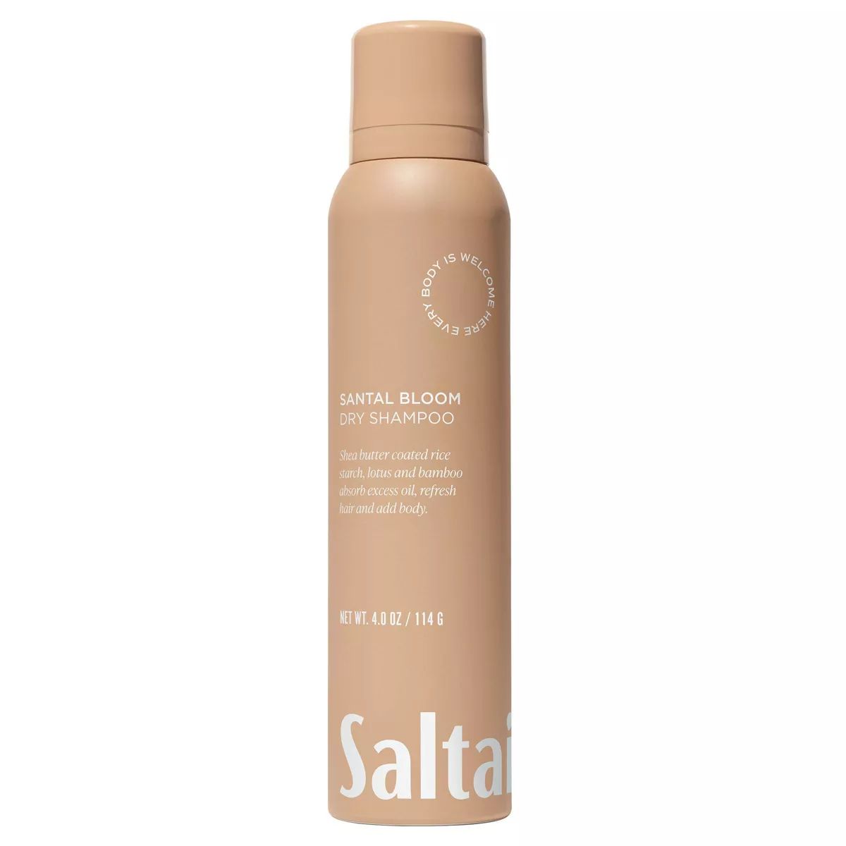 Saltair Moisture Bound Dry Hair Shampoo - 4oz | Target