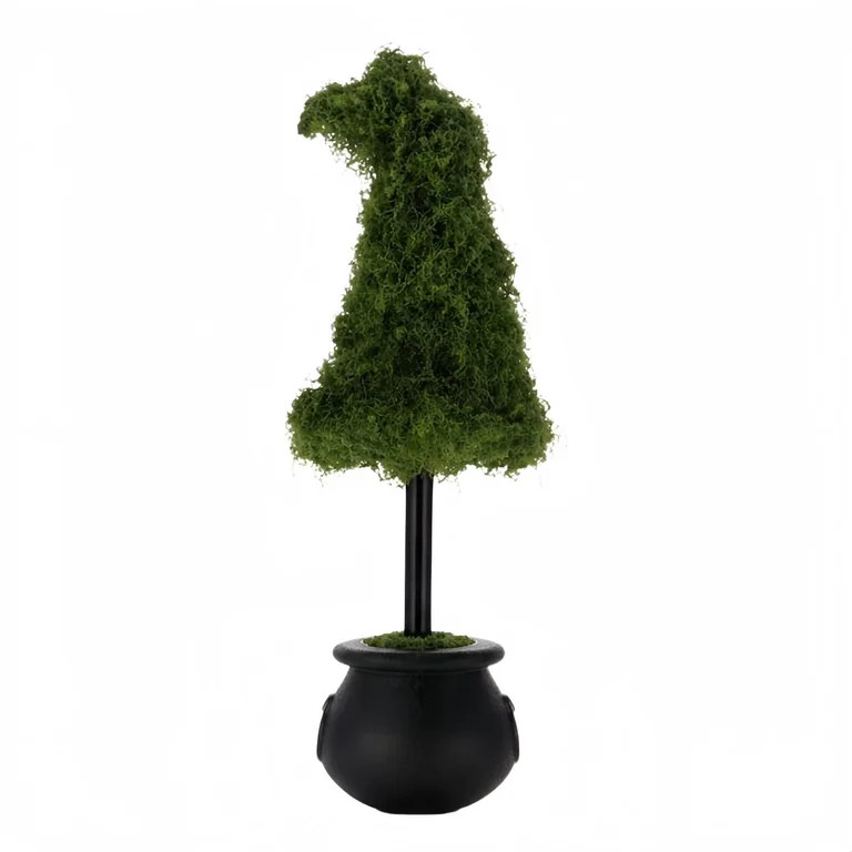 Moss Witch Hat Topiary, Whimsical Moss-Foliage Tabletop Ornament for Desks, Shelves and Entryways | Walmart (US)