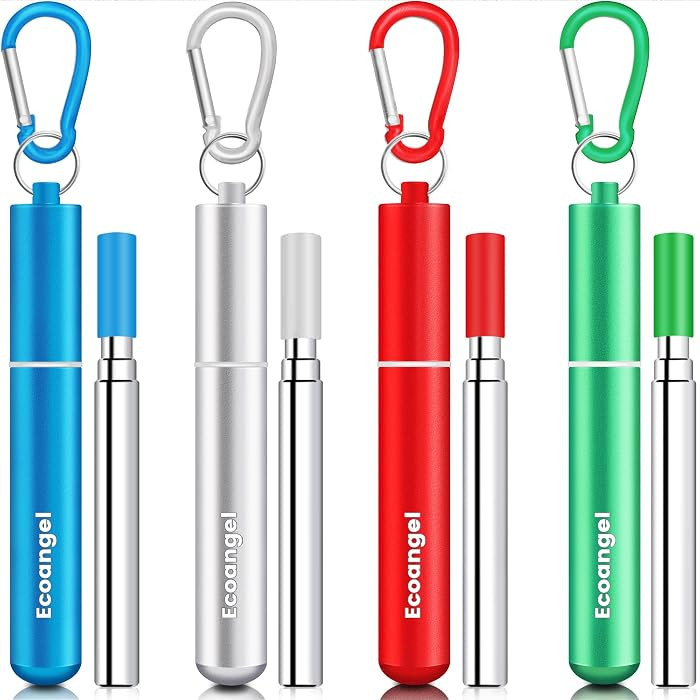 Ecoangel Cruise Ship Essentials, Reusable Metal Straws (4 Pack) | Amazon (US)