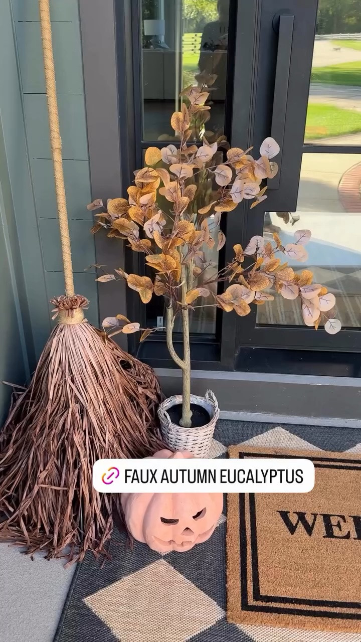 Give me all the faux stems!

#LTKHome #LTKSeasonal