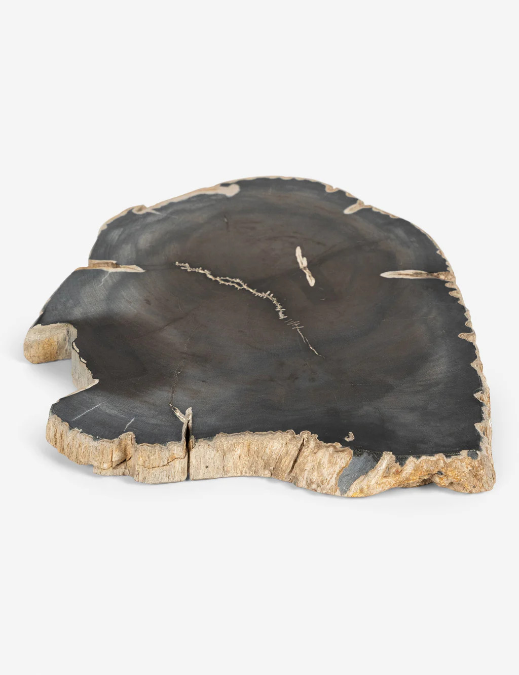 Farzana Petrified Wood Slab | Lulu and Georgia 