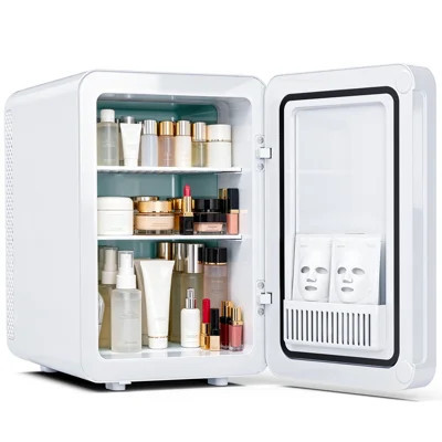 16L Mini Skincare Fridge with LED Mirror, 3-Mode Dimmable, Cooler & Warmer Small Compact Refrigerator for Bedroom, Skincare, Makeup and Cosmetics | Wayfair North America