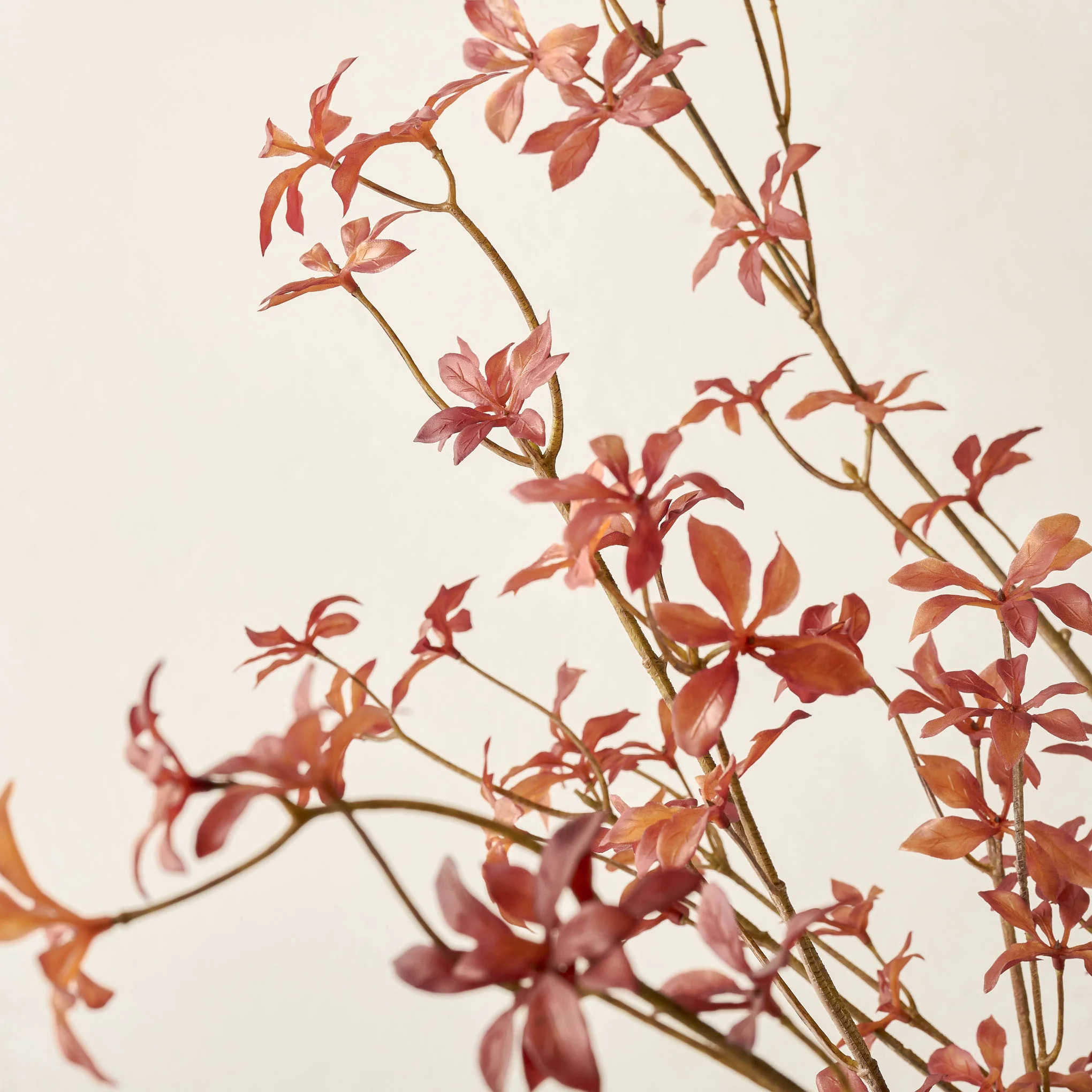 Maple Leaf Spray | Magnolia