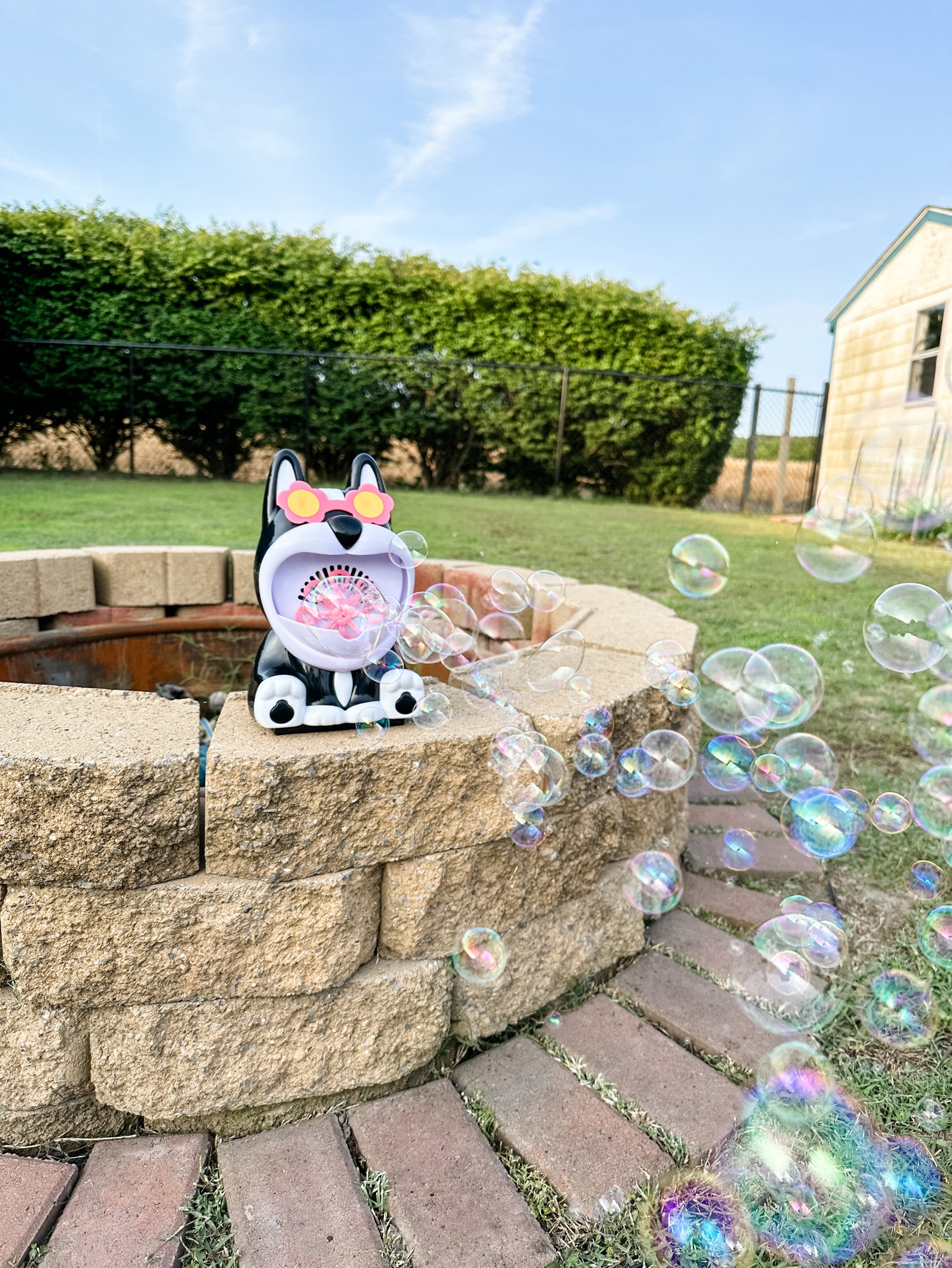 We have been having so much fun outside lately! Here are four things I bought recently that have been a big hit and gotten us outside and moving more, including this cute puppy bubble blower!

#family #familyfun #memories #makingmemories #backyard #backyardfun #summer #summerfun

#LTKfamily #LTKkids #LTKSeasonal