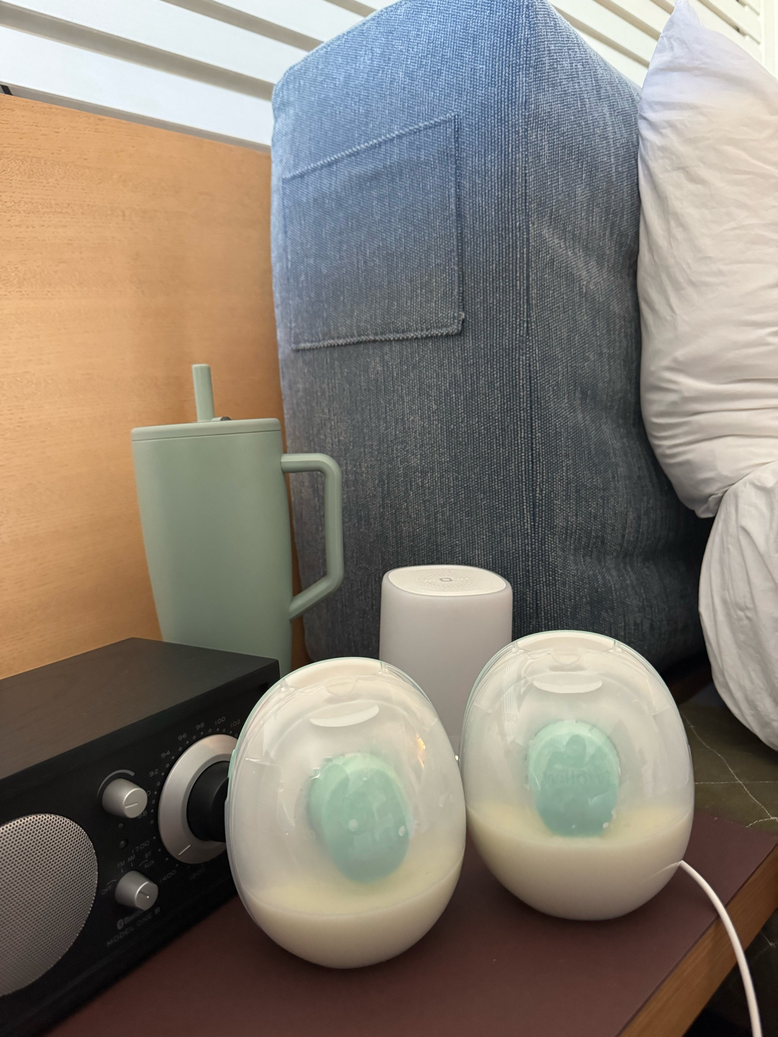 my new willow go pumps!! Came in handy while on a work trip. Plus my brumate and nanit sound machine 

#LTKBump #LTKFamily #LTKBaby