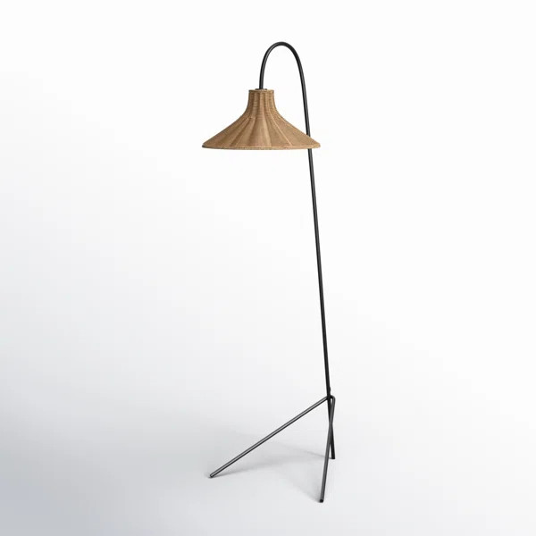 Sylvia 67'' Black Tripod Floor Lamp | Wayfair North America
