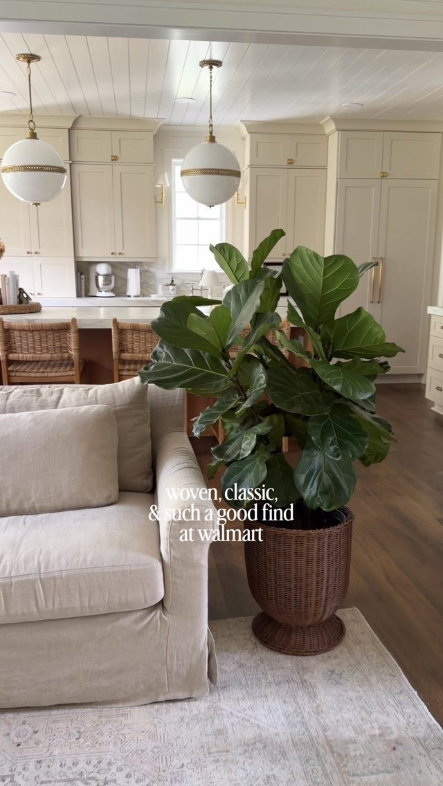 Found the dreamiest woven planter and it looks way more high-end than it is. Classic, textured, and so good for that collected look. Comment SHOP for a DM with link 🤎🍁🍂.