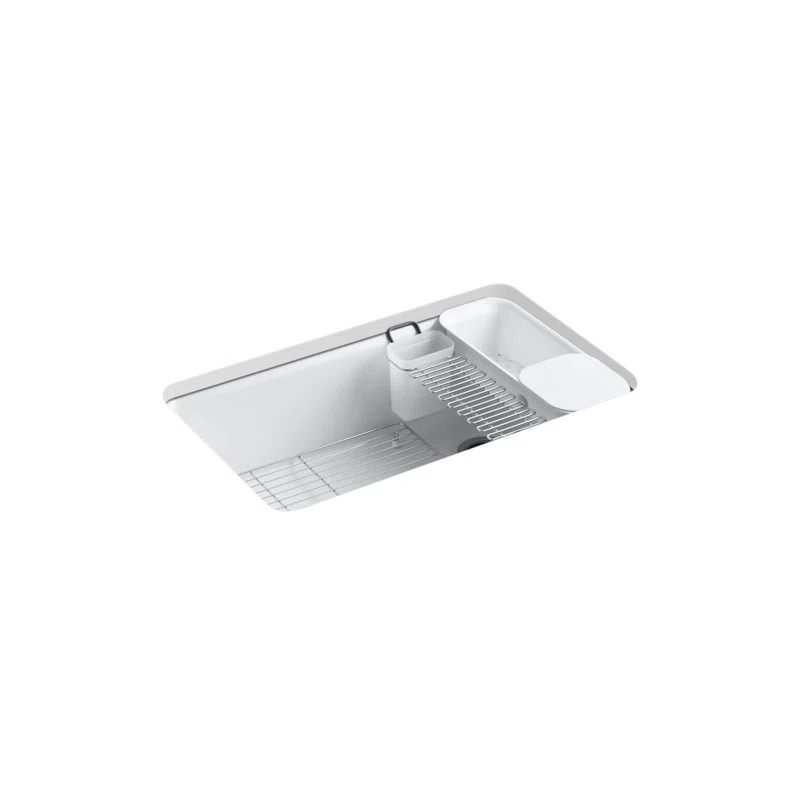 Riverby 33" x 22" x 9-5/8" Under-Mount Single-Bowl Kitchen Sink with Accessories | Wayfair North America