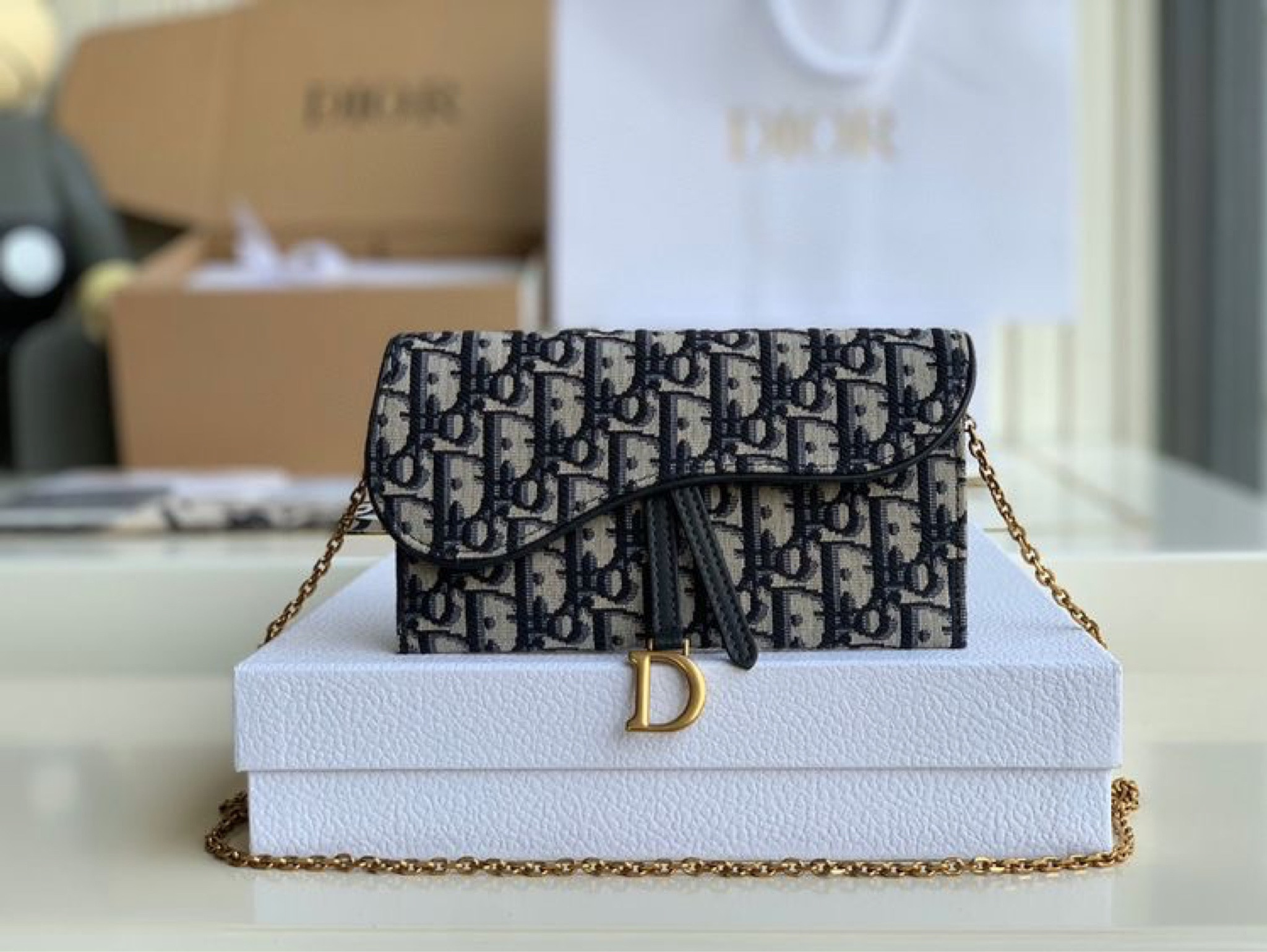 Dior wallet on a chain purse