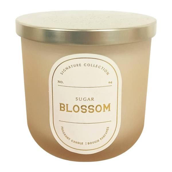 Sugar Blossom Scented Jar Candle, 12.5oz | At Home