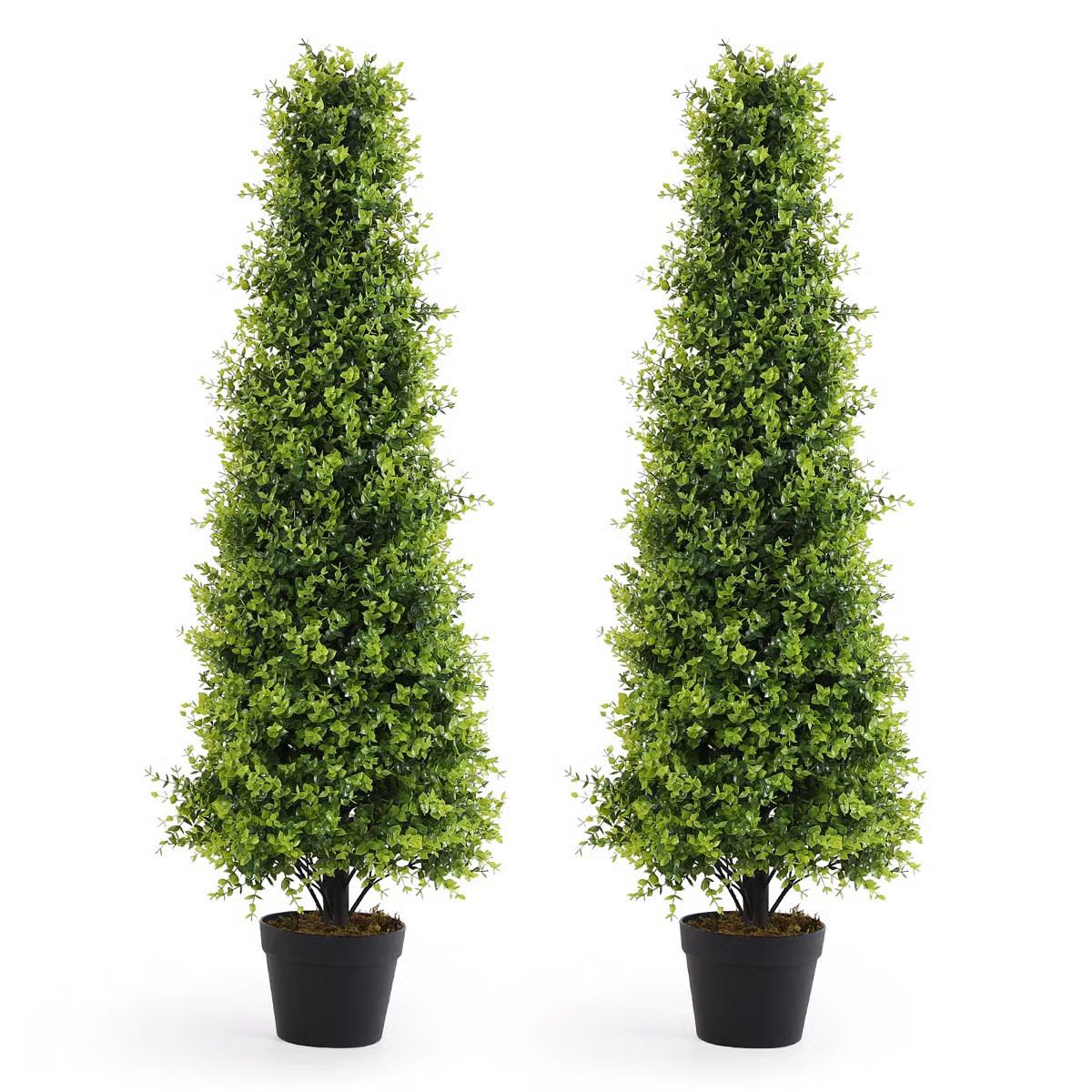 Artificial Boxwood Topiary Faux Boxwood Cone In Pot UV (Set of 2) | Wayfair North America