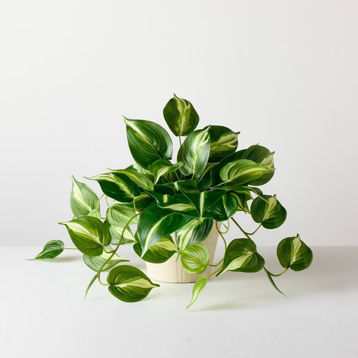 12" Medium Evergreen Leaf Artificial Plant - Hearth & Hand™ with Magnolia | Target