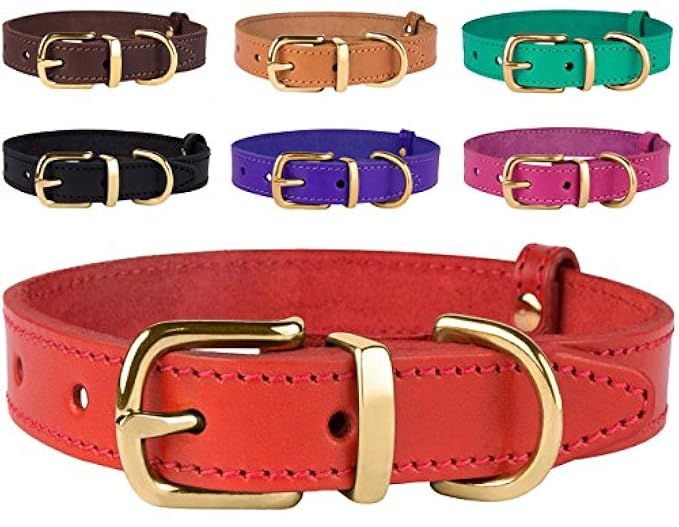 BronzeDog Genuine Leather Dog Collar, Adjustable Durable Collars for Dogs with Brass Buckle Small Me | Amazon (US)