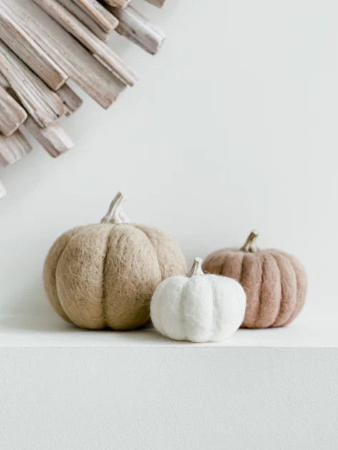Wool Pumpkin | Nigh Road