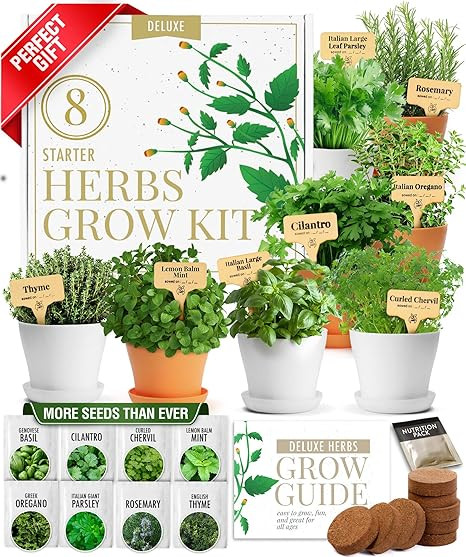 HOME GROWN Gift Herb Kit – 8 Herb Seeds Set with Basil, Cilantro, Mint & More, Complete Indoor ... | Amazon (US)