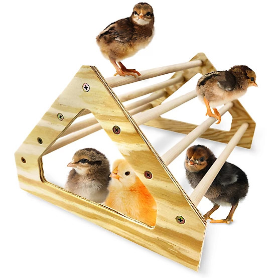 Backyard Barnyard  Chick Perch Roosting Bar Toy for Brooder Box | Tractor Supply