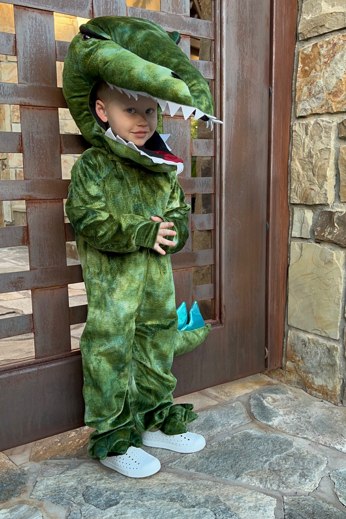 Pottery Barn kids Halloween costumes are 20% off today , Sale alert 

#LTKsalealert #LTKunder100 #LTKkids