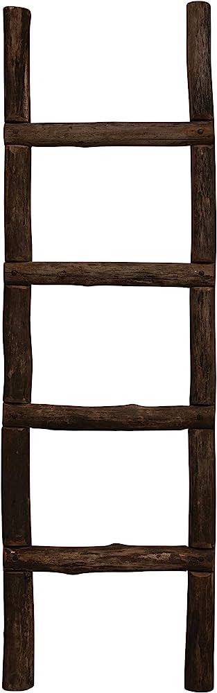 Creative Co-Op Reclaimed Wood Ladder, Natural | Amazon (US)