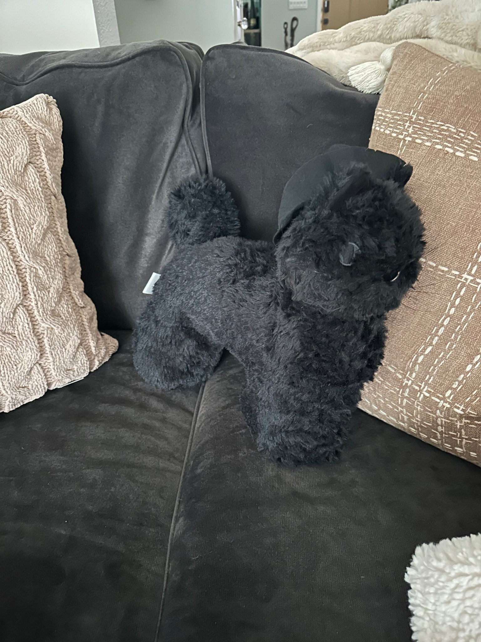 My Texas house black witch cat and partial of the knit taupe pillow using for fall thanksgiving and probably Christmas love the texture. Also got two pillow covers for my bedroom. Will share in links #mytexashouse #Walmart #blackcat #halloween #seasonal #halloweenpillow 

#LTKSeasonal #LTKFindsUnder50 #LTKStyleTip