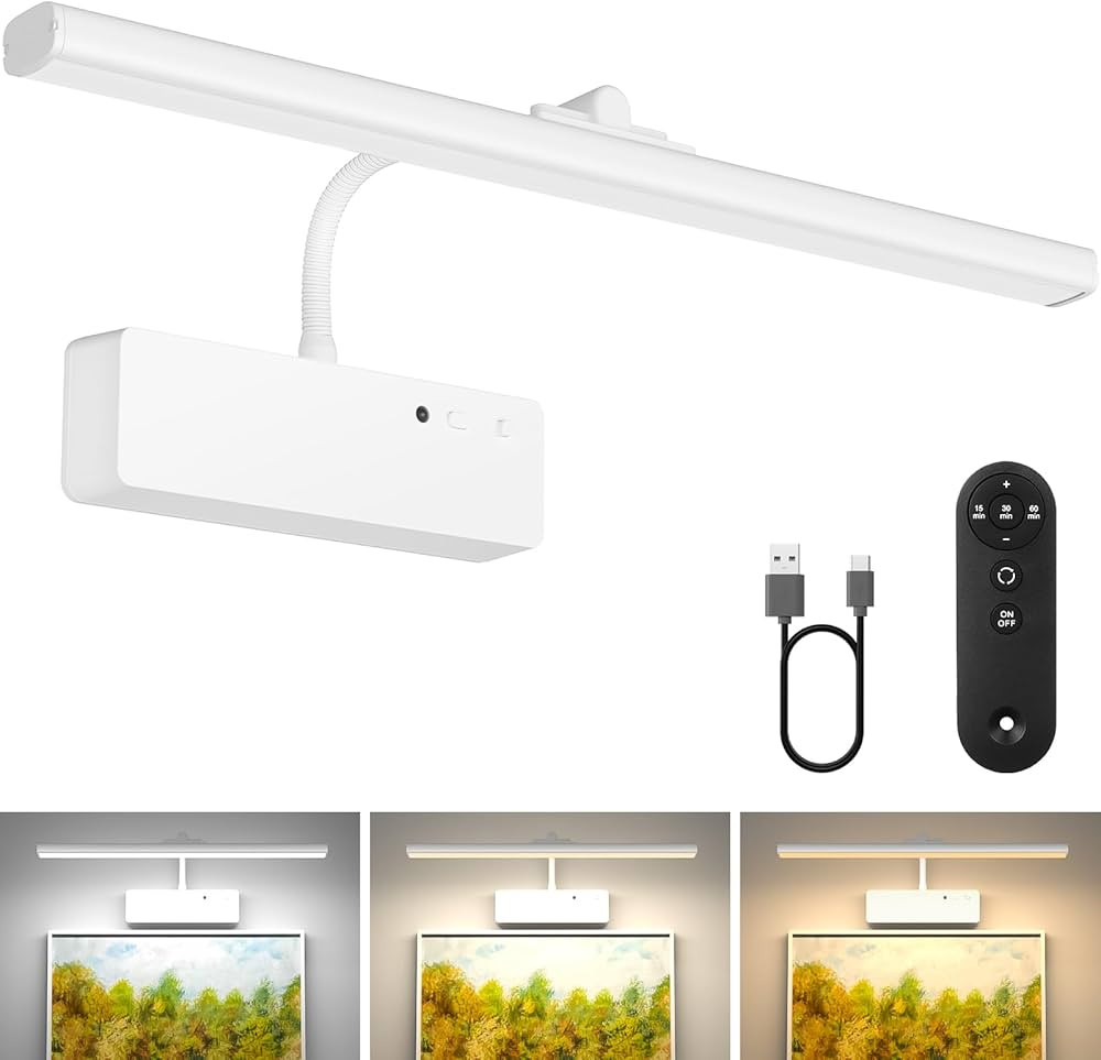 Picture Light with Remote, 15.35inch Wireless Rechargeable Battery Wall Light for Paintings, 3 Co... | Amazon (US)