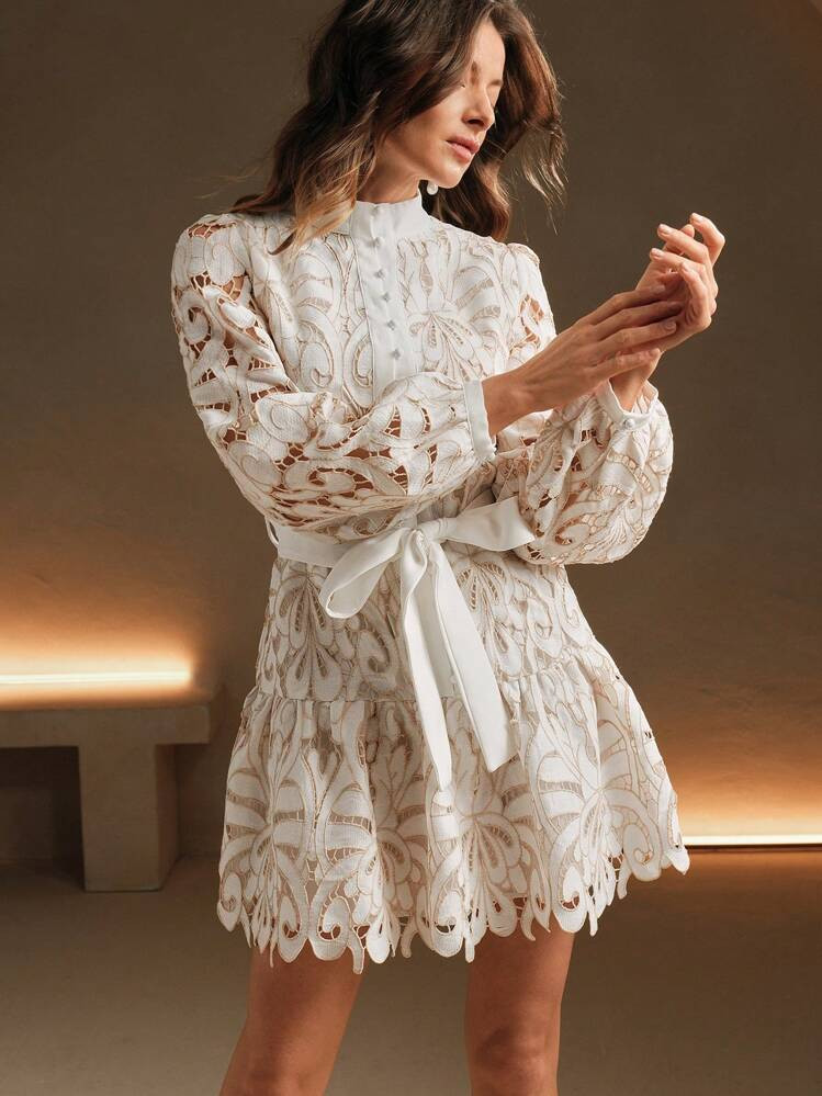 Anewsta Vintage Hollow-Out Lace Embroidered Tie-Waist Christmas Dress For Women, Spring & Autumn | SHEIN