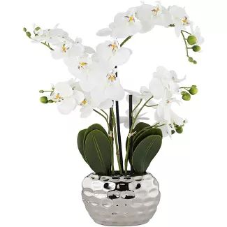 Dahlia Studios White Phalaenopsis 23"H Faux Orchid in Silver Resin Pot | Target