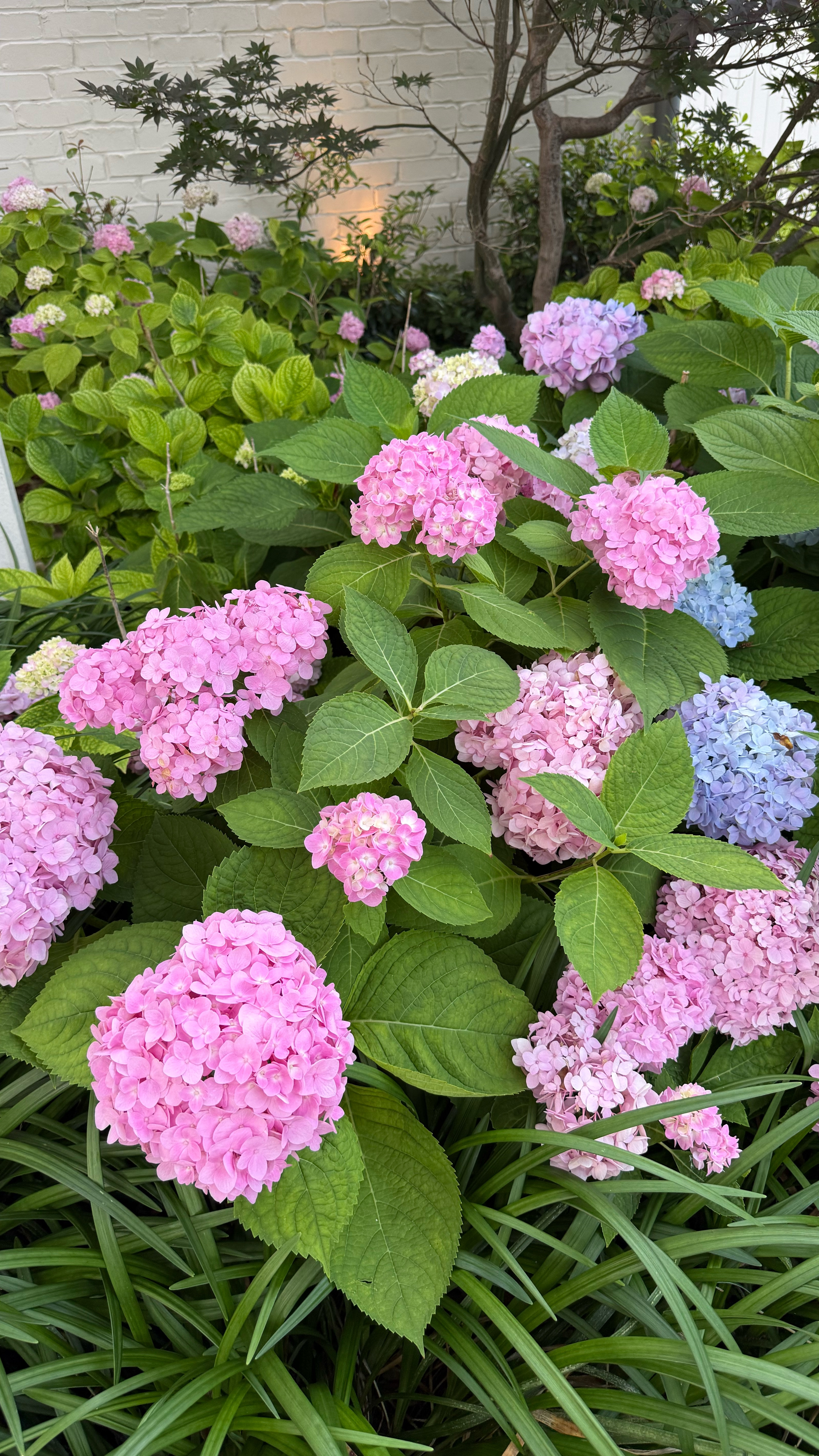 spend a relaxing sunday with us after celebrating my husband’s birthday yesterday!💕🎂🍣🎉

➡️you can comment “SHOP” below for links to my pjs, home decor, and morning skincare! 

#sundayvlog #dallasblogger #dallasvlog #dimlvlog