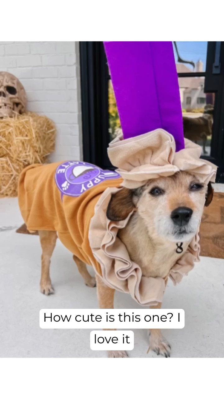Pup-kin spiced latte anyone?