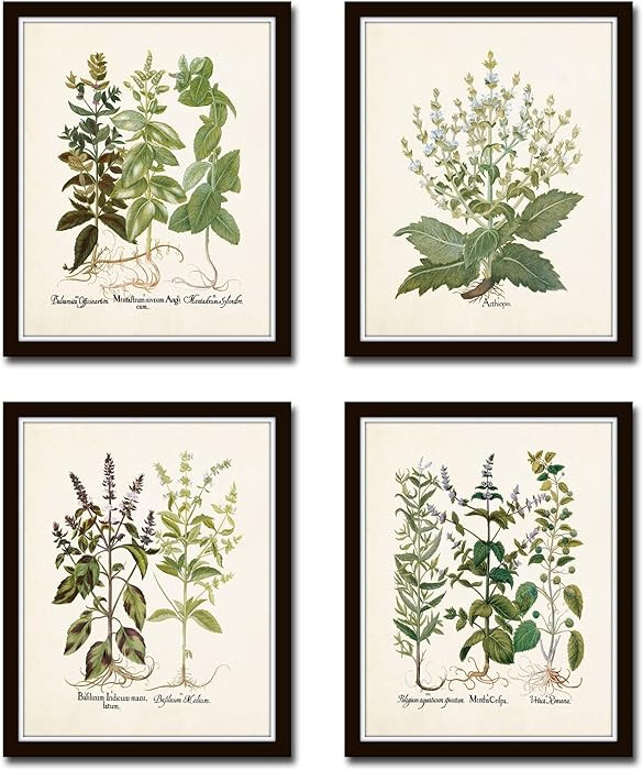 Belle Maison Art Antique Herbs Print Set No. 29, Vintage Botanical Wall Art, Bedroom Kitchen Livi... | Amazon (US)