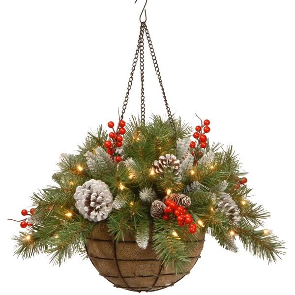 Frosted Berry Hanging Basket | Wayfair North America