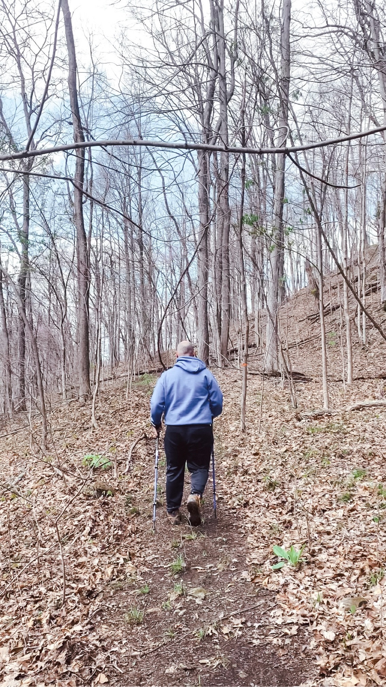 New hiking poles for the new hiking trails at Bent Tree Lodge. 

#LTKtravel #LTKActive #LTKfindsunder50