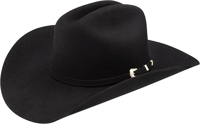 Stetson Stallion Collection The Oak Ridge Cowboy Hat | Amazon (US)