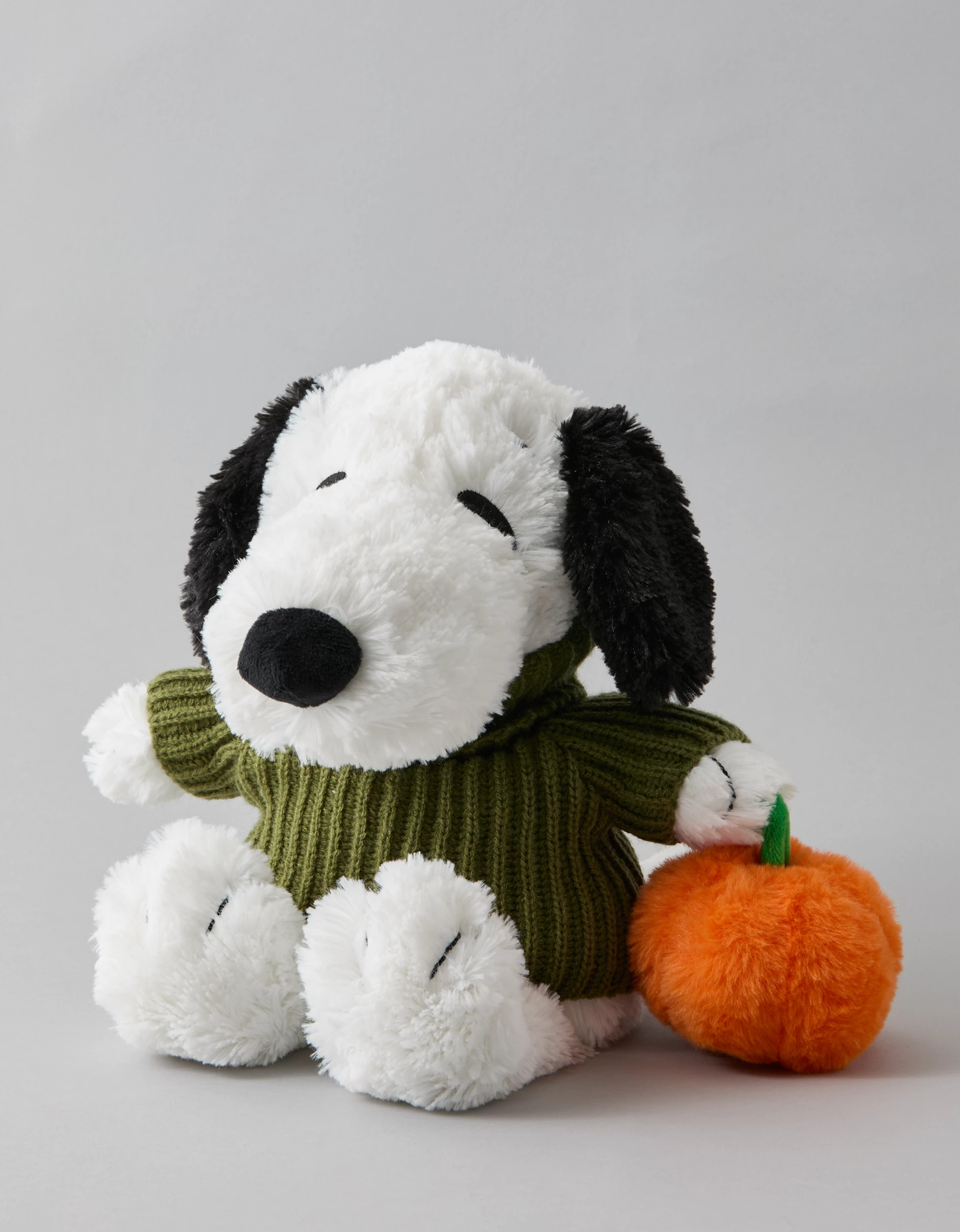 Warmies Sweater Snoopy | American Eagle Outfitters (US & CA)