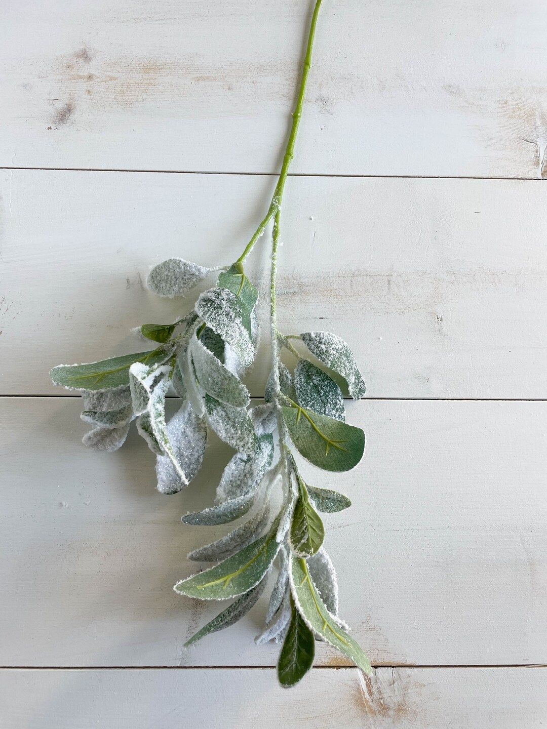 Frosted Lambs Ear 1pcs - Frosted Greenery - Holiday Decor - Christmas - Greenery - Frosted | Etsy (US)