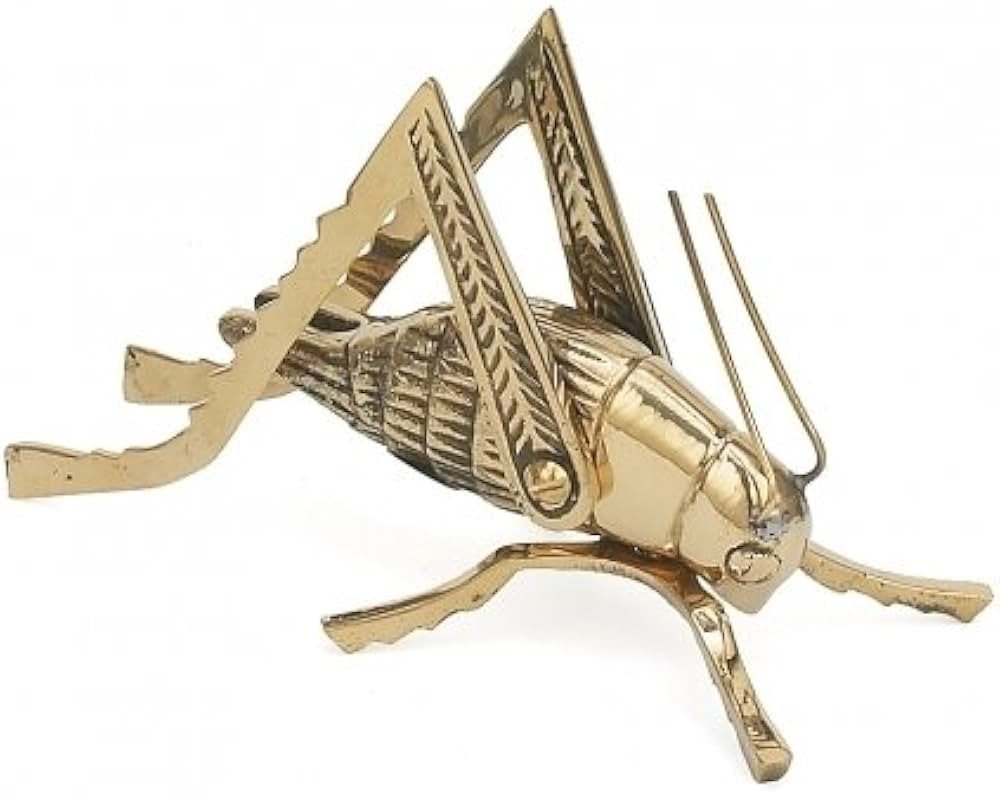 INsideOUT Solid Brass Cricket ~ Fireplace Crickets on The Hearth | Amazon (US)