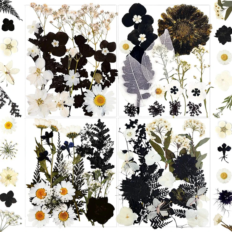 MIKIYA 84Pcs Black Dried Pressed Flowers for Resin Molds, Bulk Real Natural Dry Floral for DIY Ar... | Amazon (US)