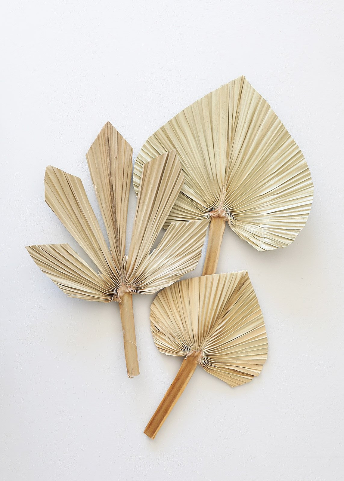 Pack of 3 - Afloral Natural Sun Palms - 12-16.5" Tall | Afloral (US)