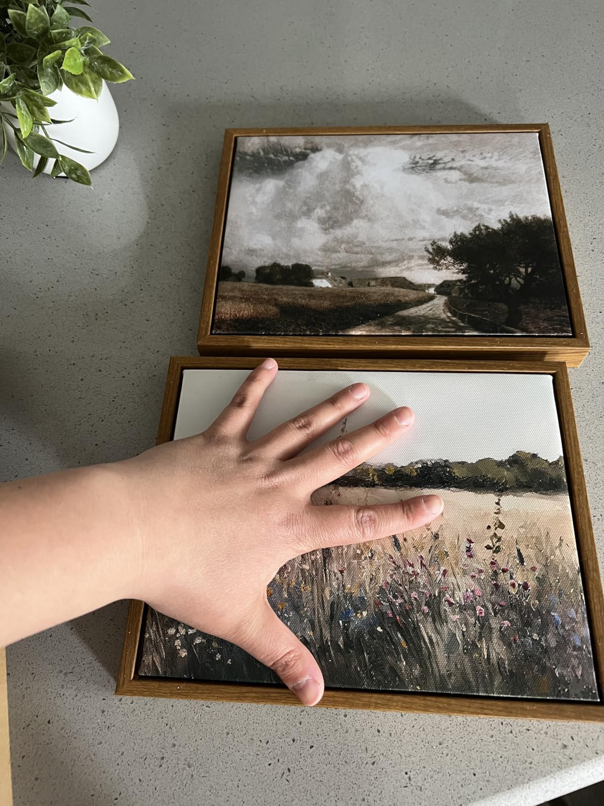 KBKBART Framed Canvas Print Wall Art, Vintage Wall art Wildflower Field Vintage Print, Neutral Co... | Amazon (US)