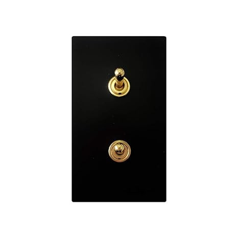 Aruastudio Retro Interior Light Switch ON-Off Set, Switch Plate, Toggle Switch 15A, 250V, AC, 2Pi... | Amazon (US)
