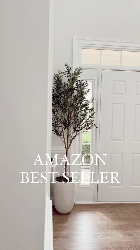 Home decor, olive tree, amazon home, bestseller, entryway

#LTKVideo #LTKSeasonal #LTKhome