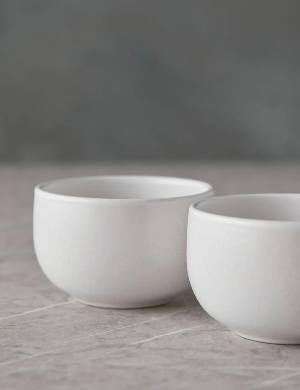 Pacifica Ramekins (Set of 6) | Lulu and Georgia 