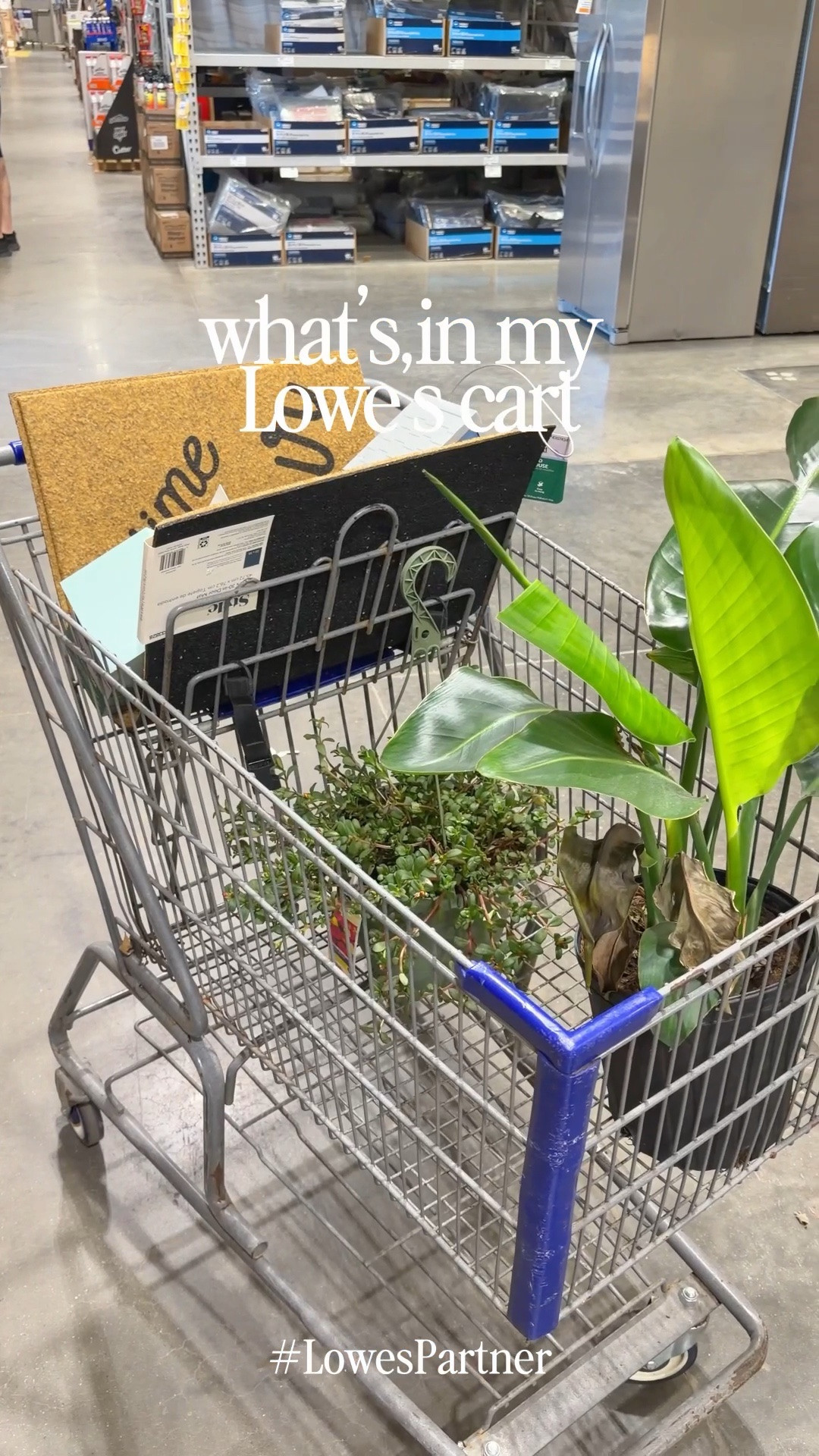 #ad What’s in my @lowes  cart this week 🛒🌿 Garden season is HERE and I may have gone a little overboard… #LowesPartner
Bird of Paradise, welcome doormat, birdhouse, wood bee house, and the most patriotic eagle stake ever 🦅🇺🇸 !
#lowesfinds #whatsInMyCart #gardenhaul #gardenseason #outdoorliving #homerefresh #summerready

#LTKdayinmylife #LTKSeasonal #LTKHome
