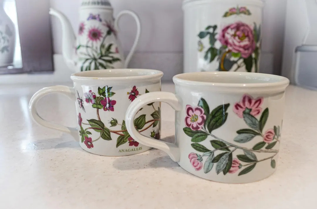 Portmeirion Botanic Garden Cup - Etsy | Etsy (US)