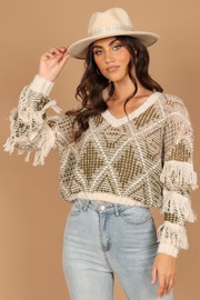 Alexis Ombre Fringe Knit Sweater - Green Multi | Petal & Pup (US)